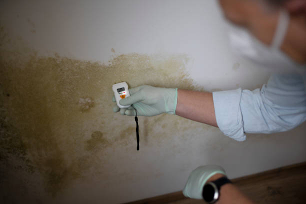 Best Mold Testing  in La Puebla, NM