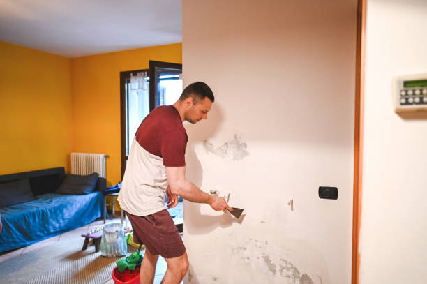 Best Certified Mold Removal  in La Puebla, NM